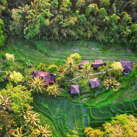 Вилла Oemah Tepi Sawah Джатилувих Экстерьер фото