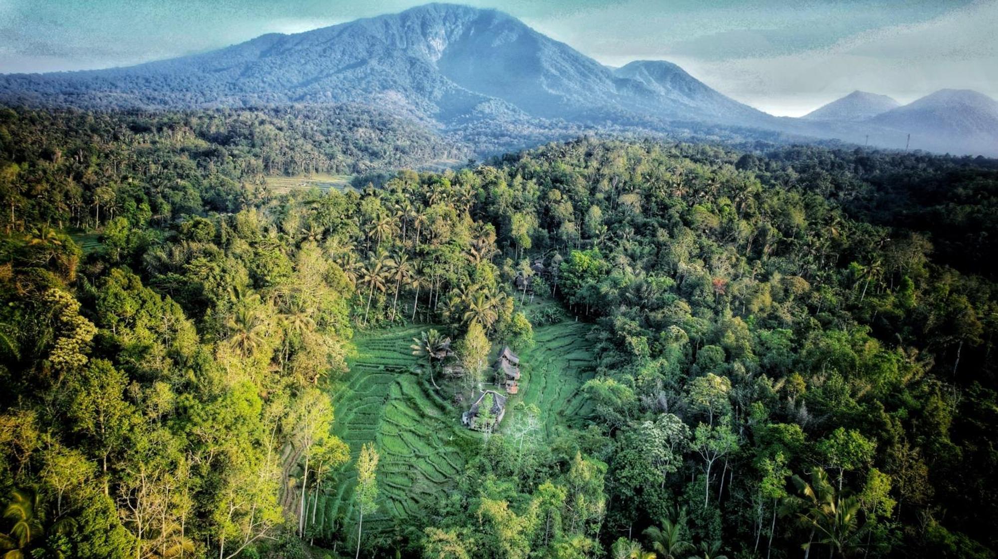 Вилла Oemah Tepi Sawah Джатилувих Экстерьер фото