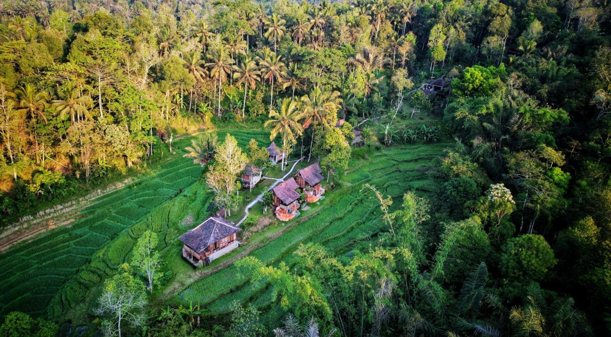 Вилла Oemah Tepi Sawah Джатилувих Экстерьер фото